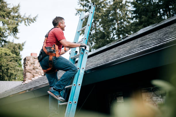 Roof Moss and Algae Removal in Junction, TX